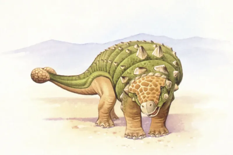 Ankylosaurs