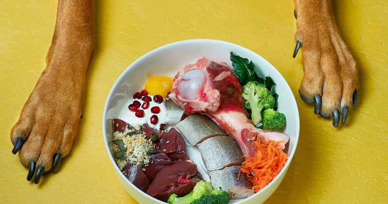 Raw Food Diet Extremism