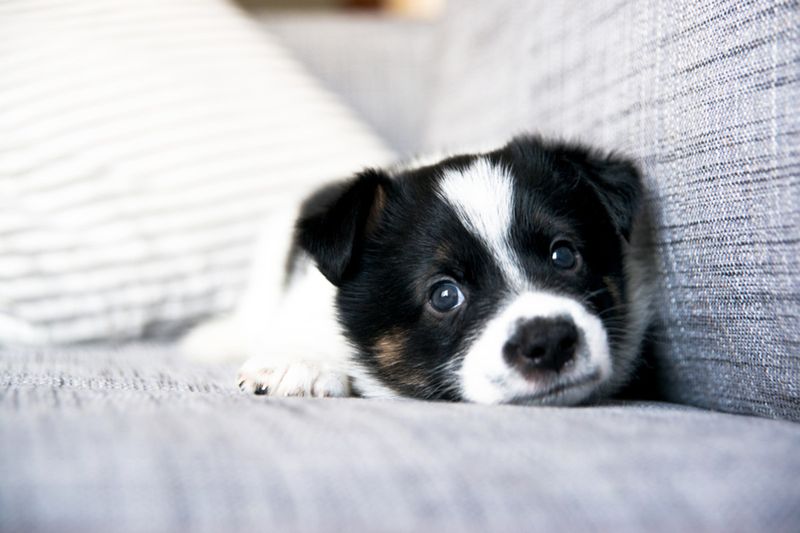 Staring At You With Loving Eyes