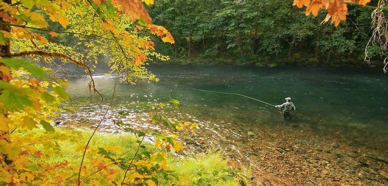 Umpqua River, Oregon