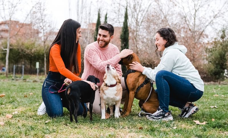 Expanded Social Circles
