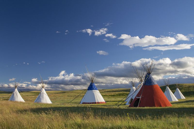 The Buffalo's Role In Providing Sustenance And Shelter