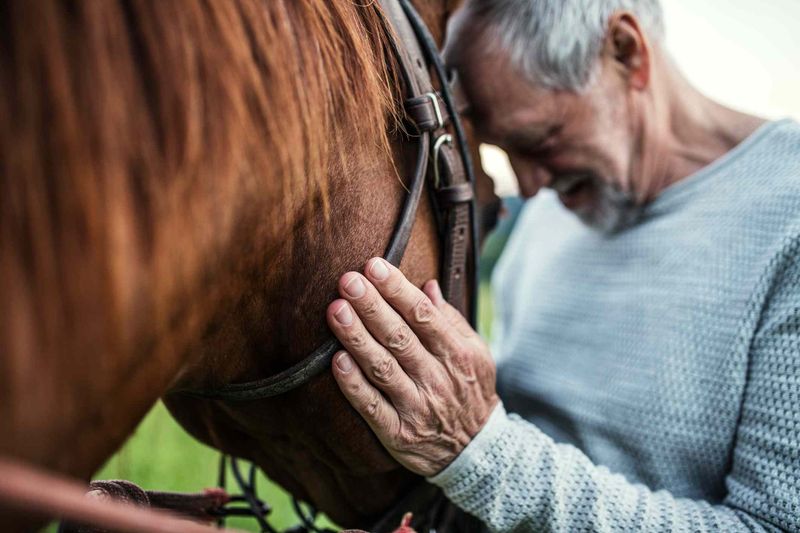 Improving Emotional Regulation