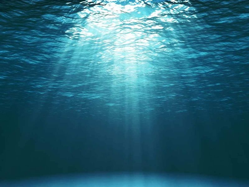 Fast Swimmer