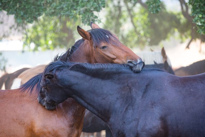 Friendship Bonds That Last