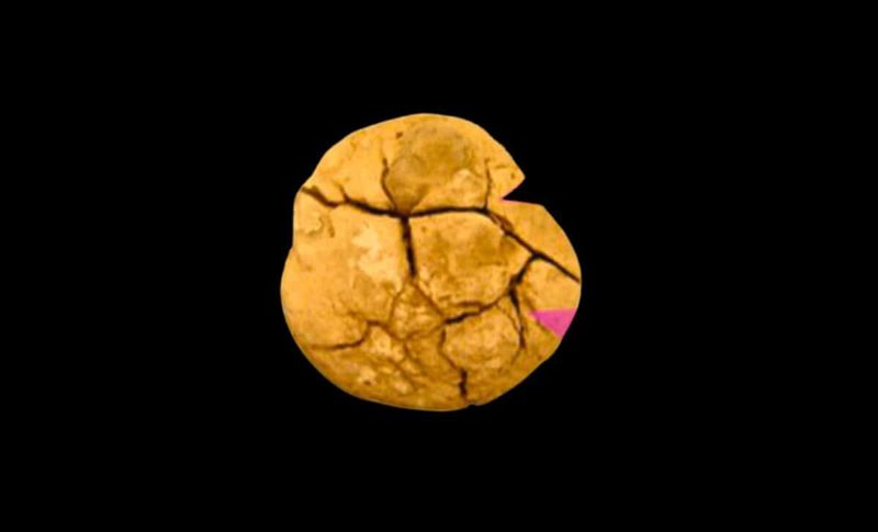 The Discovery: A Fossilized Surprise In 236-Million-Year-Old Poop
