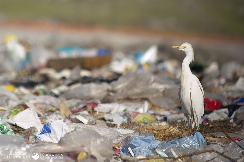 Reduce Plastic Use