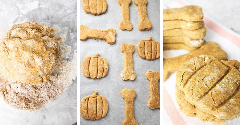 Make DIY Dog Treats