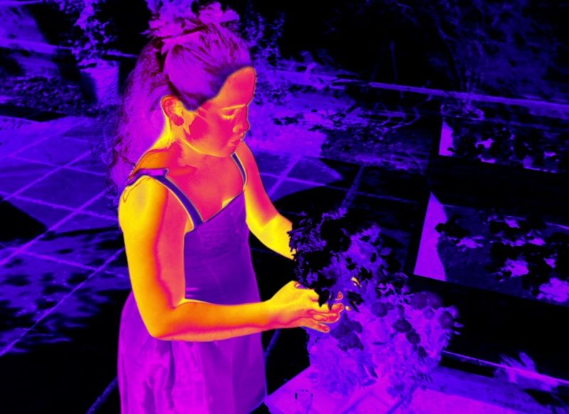 Snake Vision: Heat-Sensing Superpowers