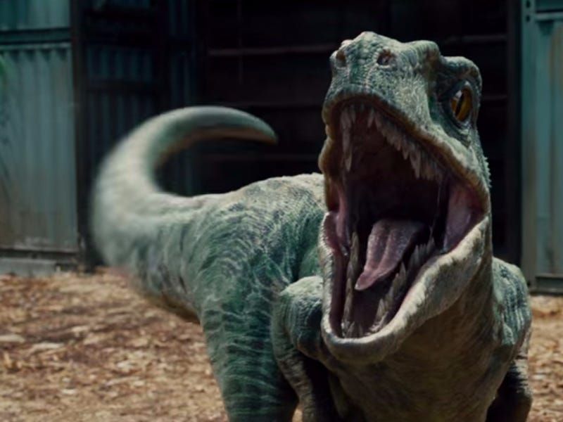 The Chickenosaurus Project