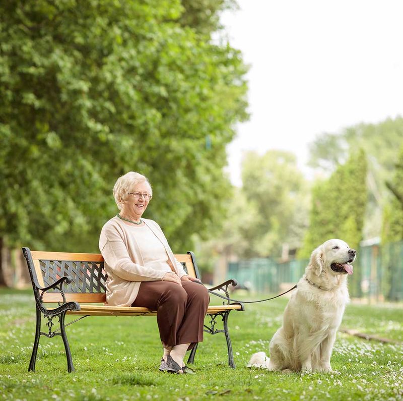 Therapeutic Benefits For Seniors