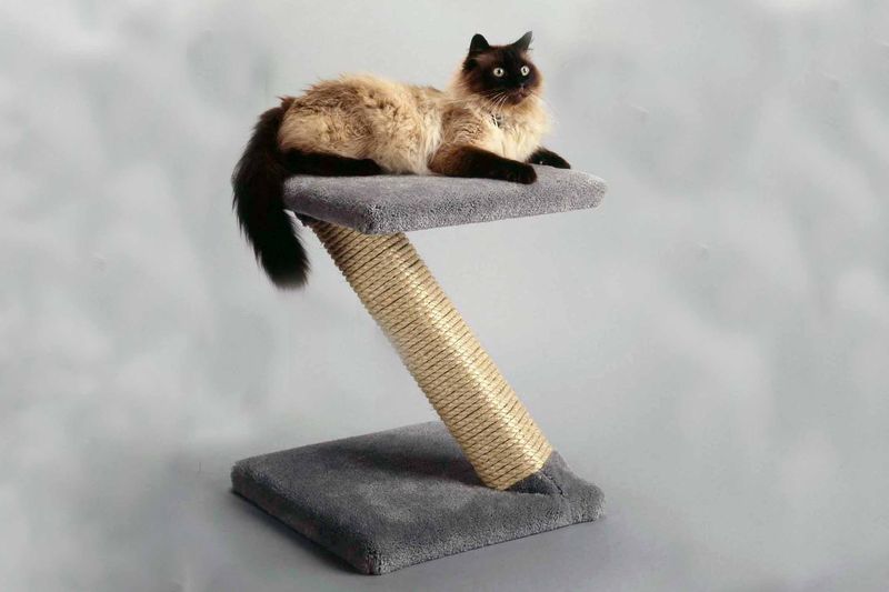 Sturdy Scratching Post