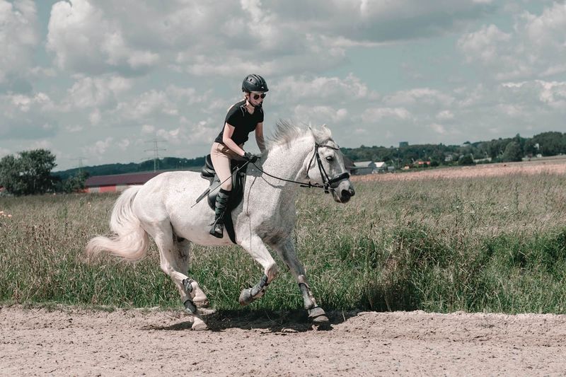 Gallop