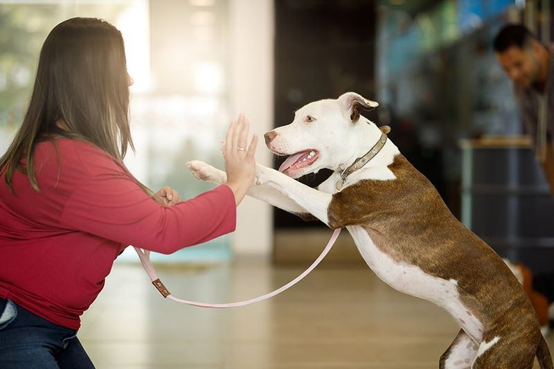 Choice-Based Training Freedom