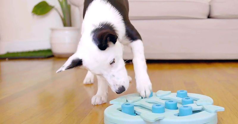 Puzzle Toys That Challenge Their Minds