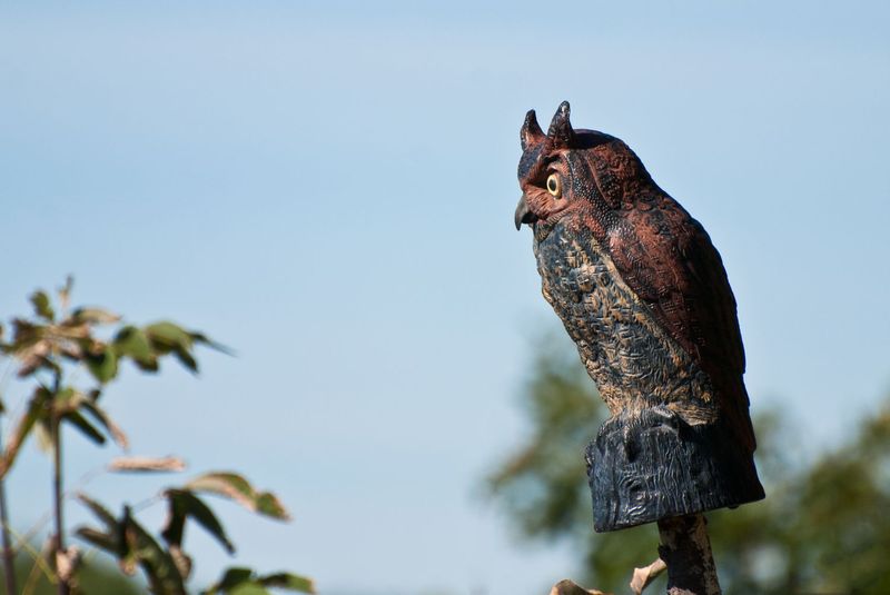 Owl Decoys With Moving Parts