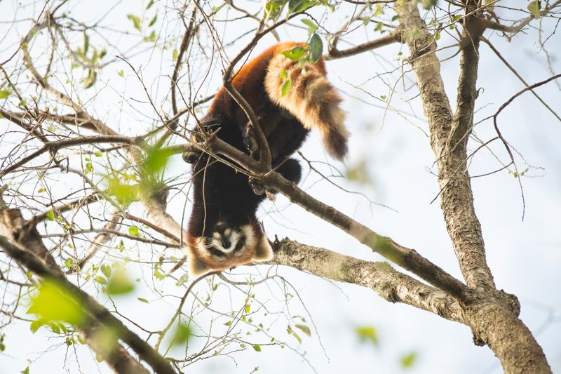 Masters Of The Vertical World