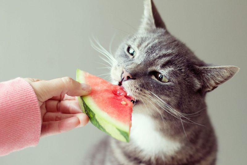 Watermelon Juice - Natural Sweetness