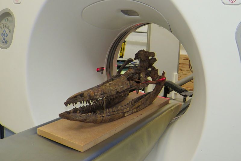High-Tech Analysis Reveals Hidden Secrets