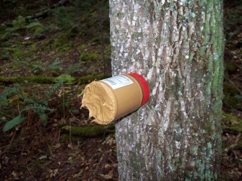 Peanut Butter
