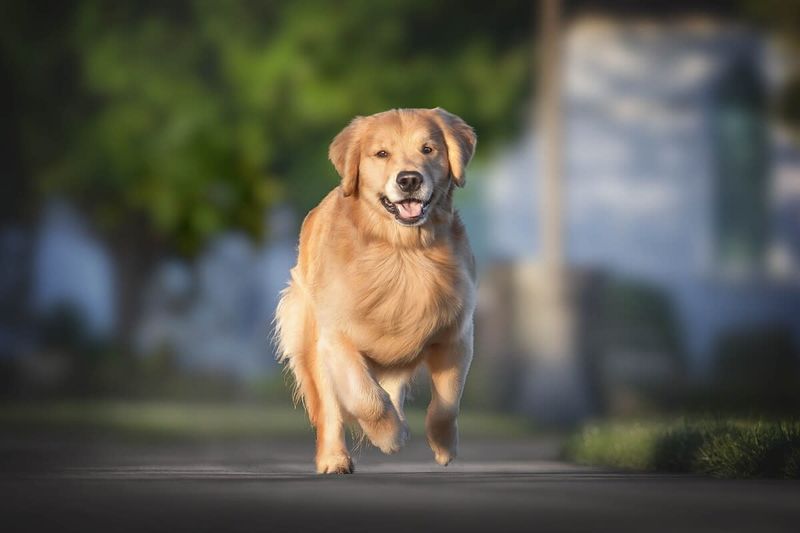 Greets You Enthusiastically