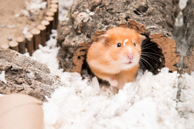 Bedding Depth Challenges
