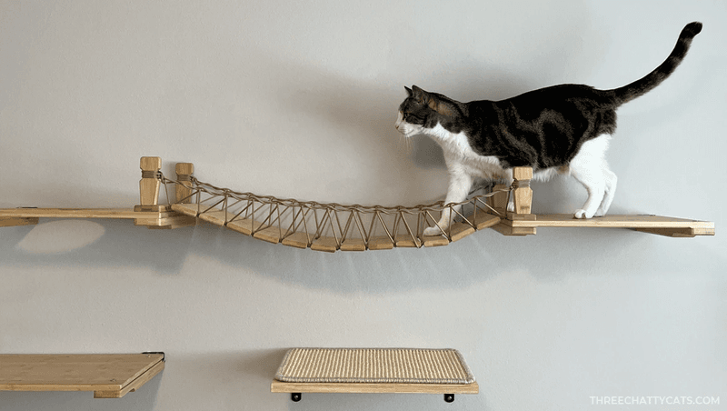 Climbing And Jumping On Fragile Items