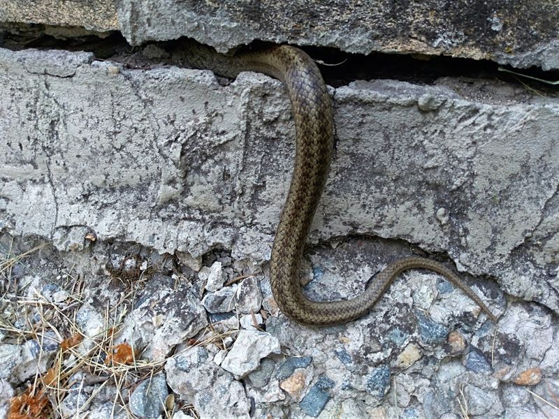 Cracks In Concrete Foundations