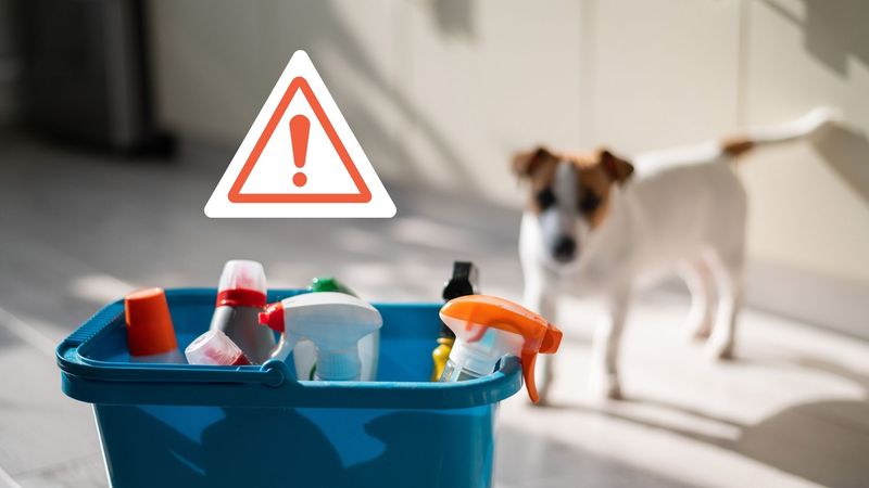 Poisoning Or Toxic Ingestion