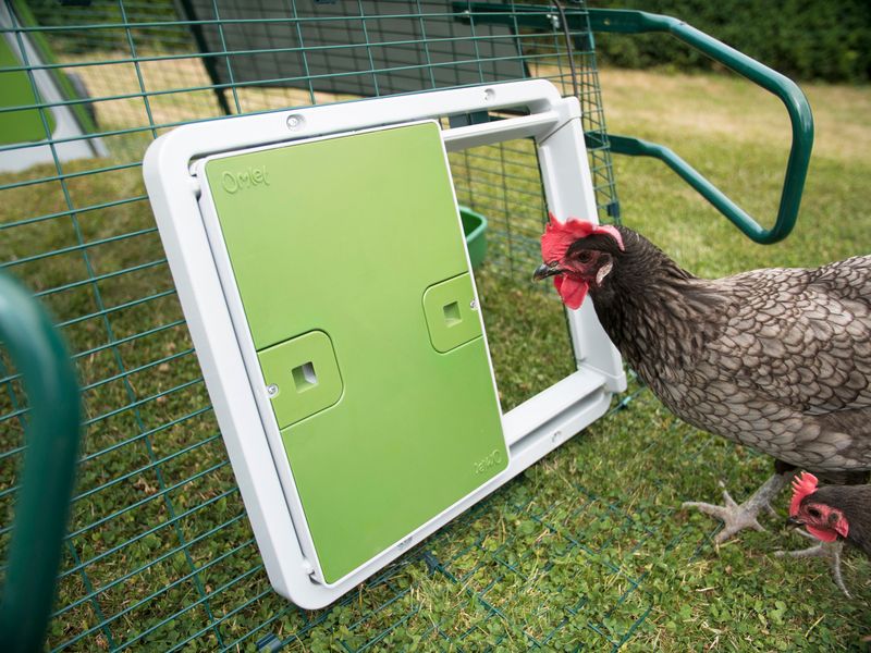 Implement Automatic Coop Doors