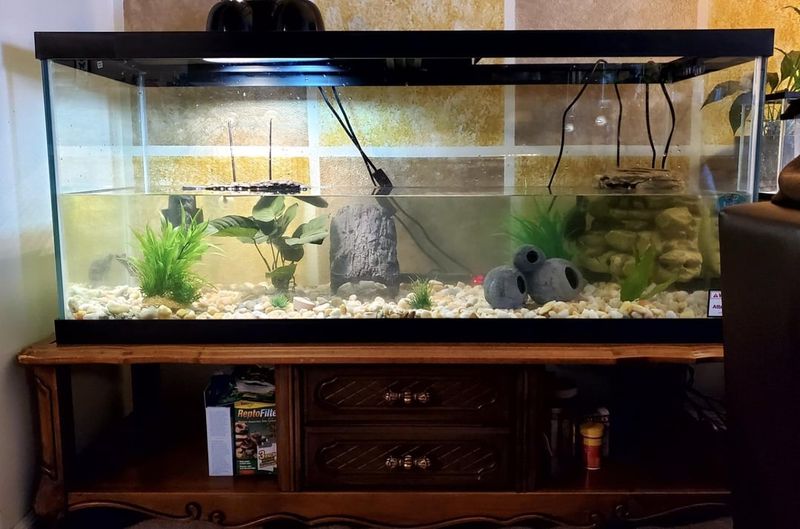 Set Up Proper Filtration