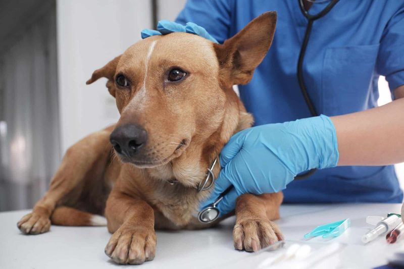 Skimping On Preventative Care