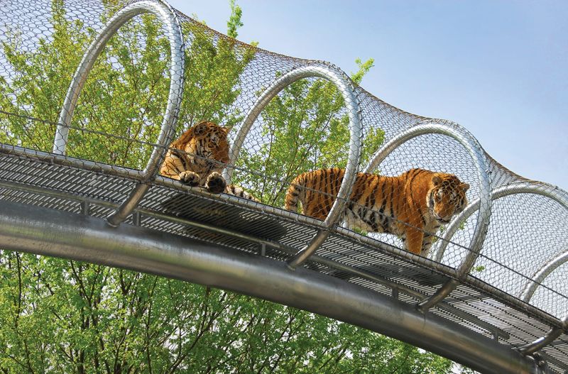 Philadelphia Zoo's Historic Collection
