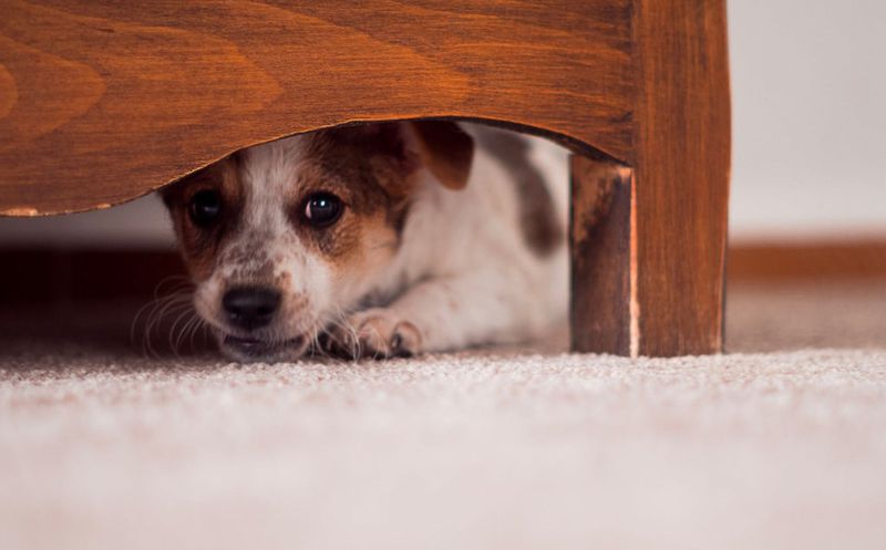 Gradual Desensitization Approach