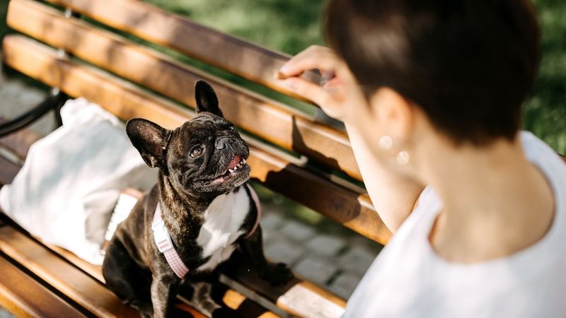 Desensitization And Counterconditioning