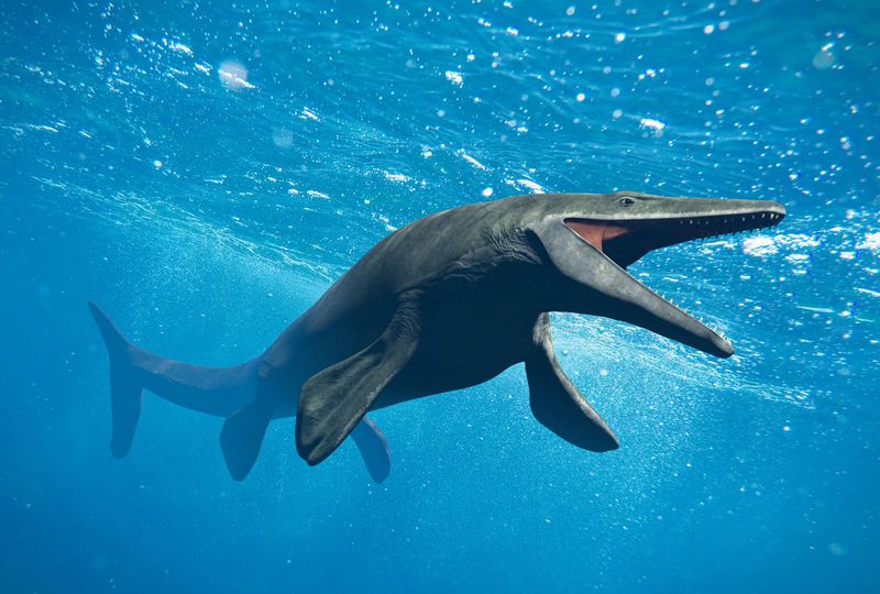 Mystery Parent Sparks Scientific Debate