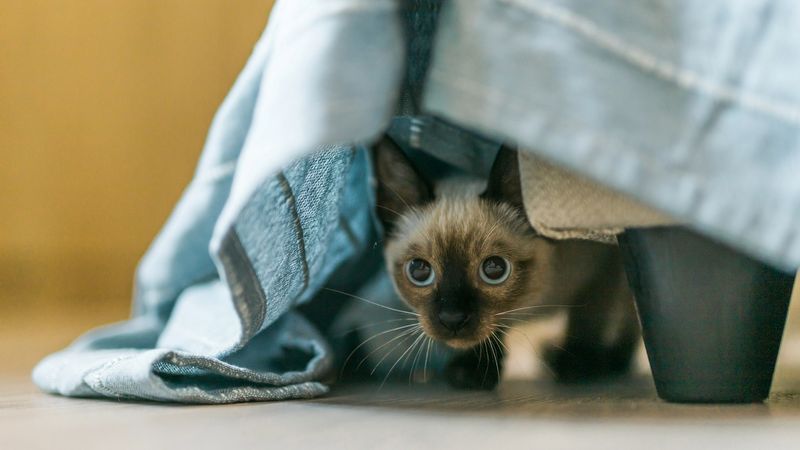 Increased Hiding