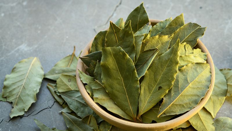 Bay Leaf Barricade