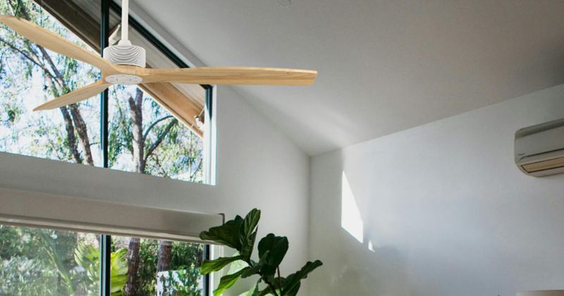 Ceiling Fans