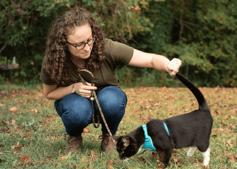 Gradual Introduction To The Great Outdoors