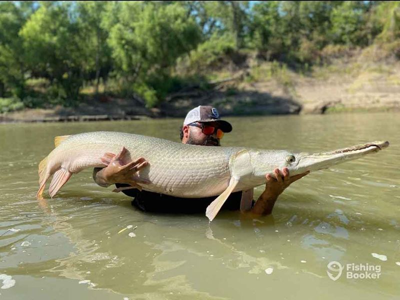 Mississippi River's Deadly Undertow