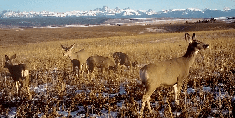 Wyoming's Wide Open Spaces