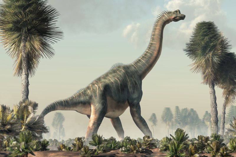 Introducing Mamenchisaurus sinocanadorum: The Giant Sauropod Of China