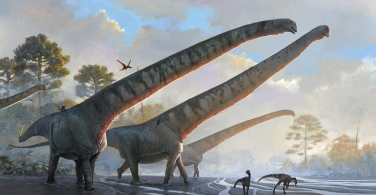 Colossal Jurassic Dinosaur Found In China Is Twice The Size Of T-Rex