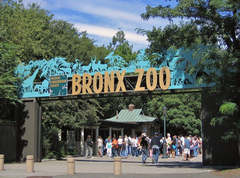 Bronx Zoo's Urban Safari