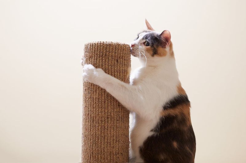 Scratching Appropriate Surfaces