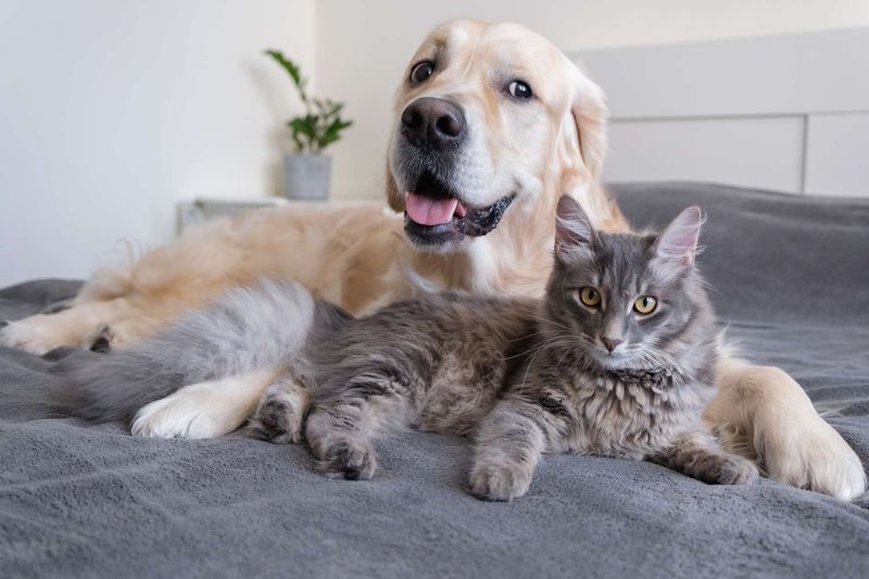 Different Grooming Habits, Fewer Messes
