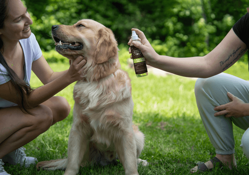 Choose Eco-Friendly Flea And Tick Control