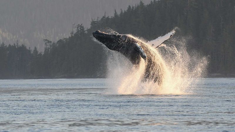 Extending Your Marine Adventure