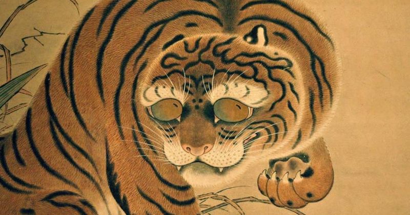 Cultural Significance Of Tigers